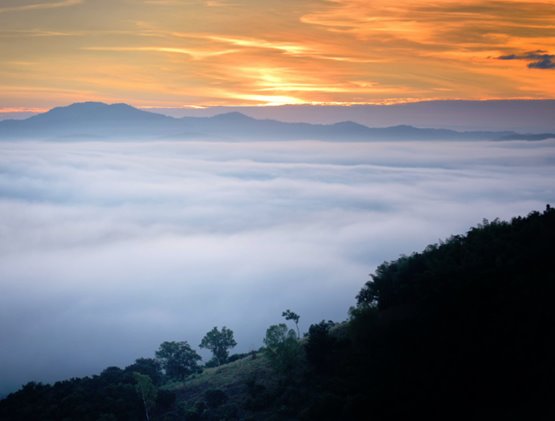 ภูลำดวน จังหวัดเลย
จุดชมวิวทะเลหมอกริมน้ำโขง 