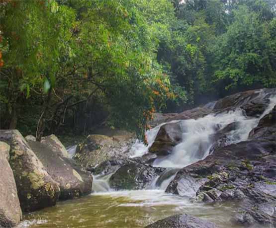 อุทยานแห่งชาติบูโด-สุไหงปาดี จังหวัดนราธิวาส 