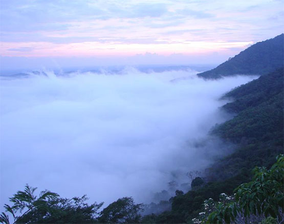 จุดชมทะเลหมอก อุทยานแห่งชาติน้ำตกทรายขาว จังหวัดปัตตานี