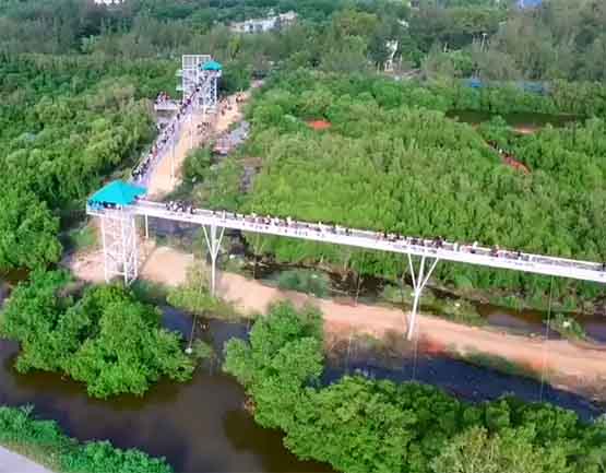 Skywalk Pattani จังหวัดปัตตานี