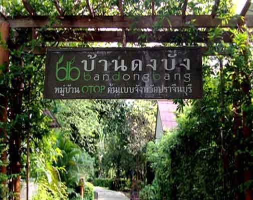 กลุ่มสมุนไพรบ้านดงบัง จังหวัดปราจีนบุรี