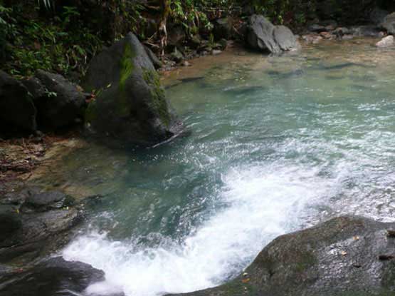 บ่อน้ำร้อน-สวนรักษะวาริน จังหวัดระนอง