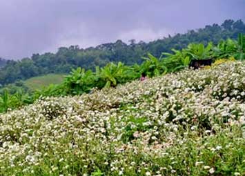 สถานที่ท่องเที่ยวทั่วไทย