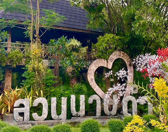 สวนนายดำ ชิมส้ม ชมส้วม จังหวัดชุมพร