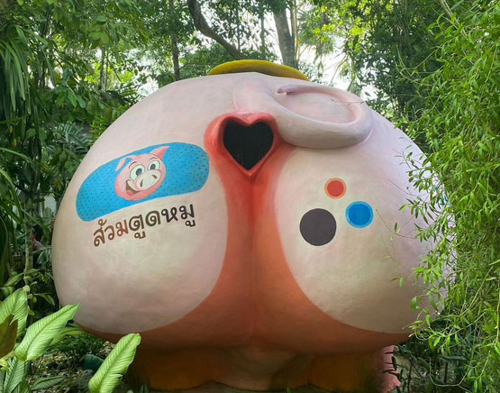 สวนนายดำ ชิมส้ม ชมส้วม จังหวัดชุมพร