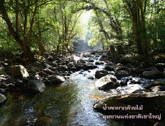 จุดชมวิวและน้ำตกใน อุทยานแห่งชาติเขาใหญ่ จ.นครราชสีมา