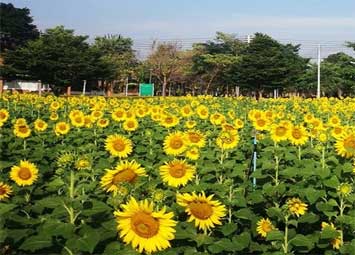 สถานที่ท่องเที่ยวทั่วไทย