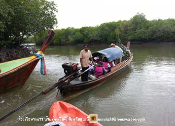 ล่องเรือชมธรรมชาติป่าโกงกาง บ้านทุ่งหยีเพ็ง จังหวัดกระบี่