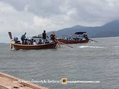 ล่องเรือชมธรรมชาติป่าโกงกาง บ้านทุ่งหยีเพ็ง จังหวัดกระบี่