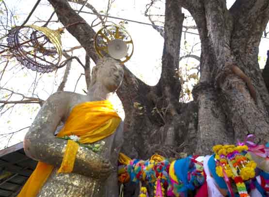 จังหวัดมหาสารคาพระพุทธรูปยืนมงคล  ม