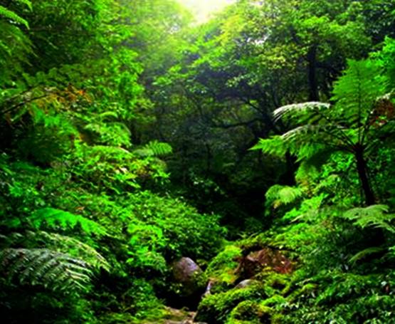 อุทยานแห่งชาติเขาหลวง จ.นครศรีธรรมราช