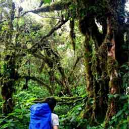 อุทยานแห่งชาติเขาหลวง จ.นครศรีธรรมราช