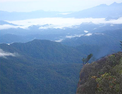 อุทยานแห่งชาติเขาหลวง จ.นครศรีธรรมราช