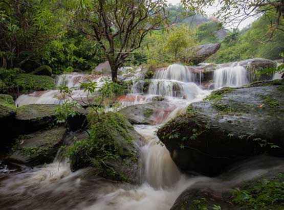 เส้นทางศึกษาธรรมชาติภูลังกา จังหวัดนครพนม