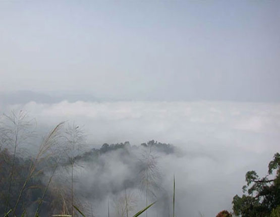 ชมทะเลหมอก@เขาพะเนินทุ่ง หรือภูลวงตา จังหวัดเพชรบุรี