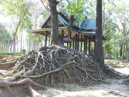 สวนรุกขชาติมวกเหล็ก จังหวัดสระบุรี