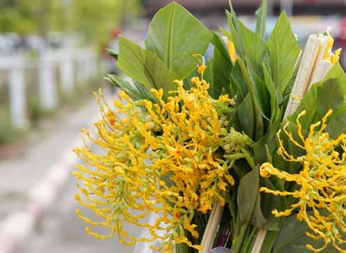 ประเพณีตักบาตรดอกเข้าพรรษาี จังหวัดสระบุรี