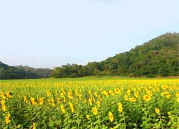 สถานที่ท่องเที่ยวทั่วไทย