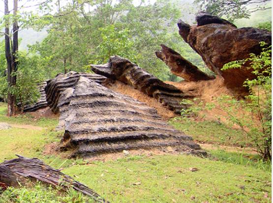 ลานหินป่าพน   จังหวัดสตูล