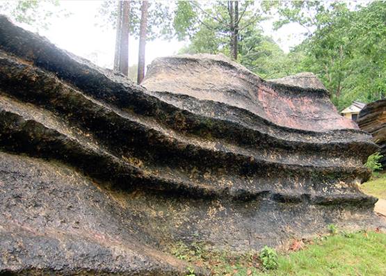 ลานหินป่าพน   จังหวัดสตูล