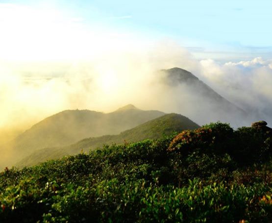 เส้นทางการเดินป่าเขตรักษาพันธุ์สัตว์ป่าเขาบรรทัด จังหวัดสตูล