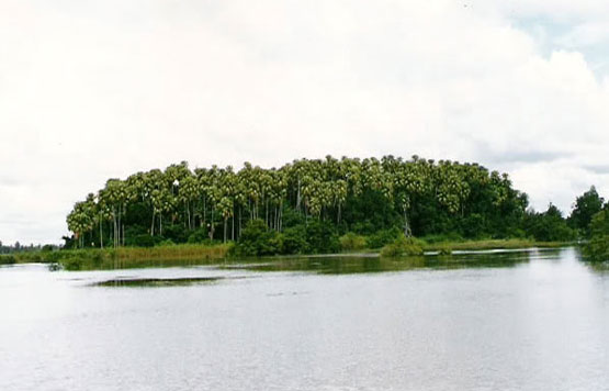 ป่าคำชะโนด จังหวัดอุดรธานี 