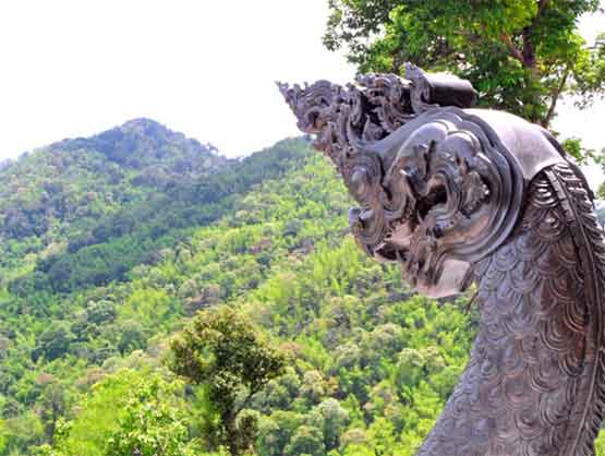 ป่าห่มศรัทธา วัดป่าภูก้อน จังหวัดอุดรธานี 