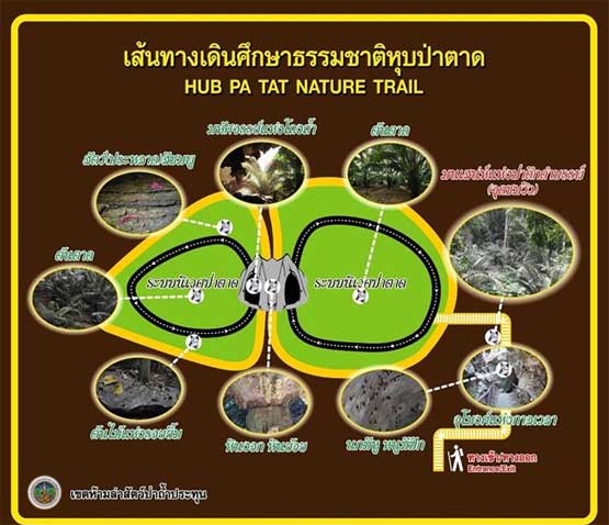 ชมดอกไม้หน้าหนาวที่บ้านแก่นมะกรูด จังหวัดอุทัยธานี