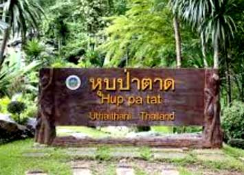 ชมดอกไม้หน้าหนาวที่บ้านแก่นมะกรูด จังหวัดอุทัยธานี