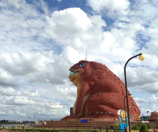 ผาหัวนาค อุทยานแห่งชาติภูแลนคา จังหวัดชัยภูมิ